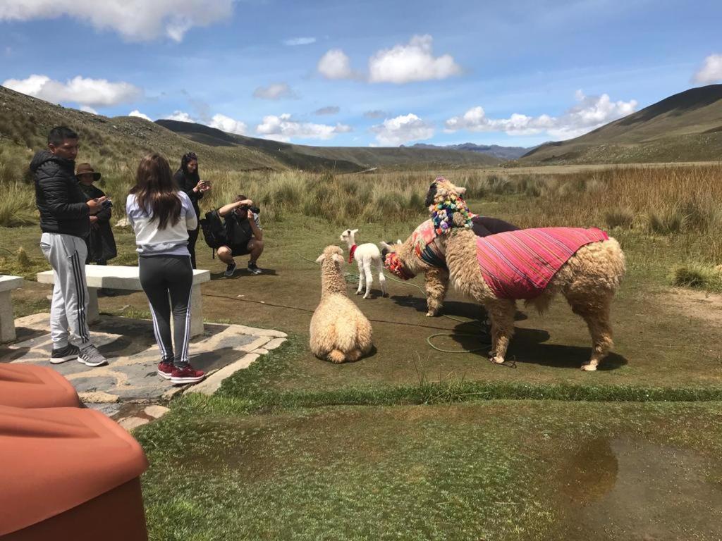 Amazing Huaraz Bed & Breakfast エクステリア 写真