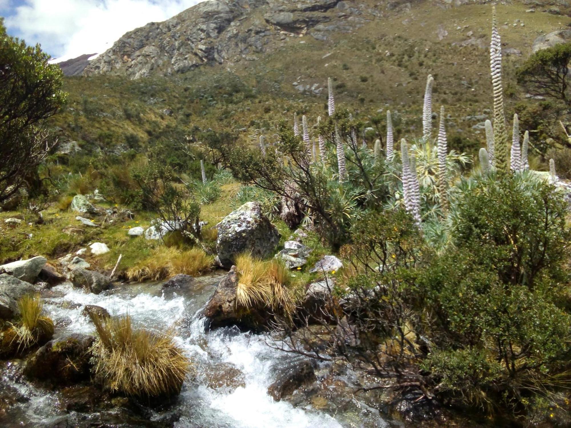 Amazing Huaraz Bed & Breakfast エクステリア 写真