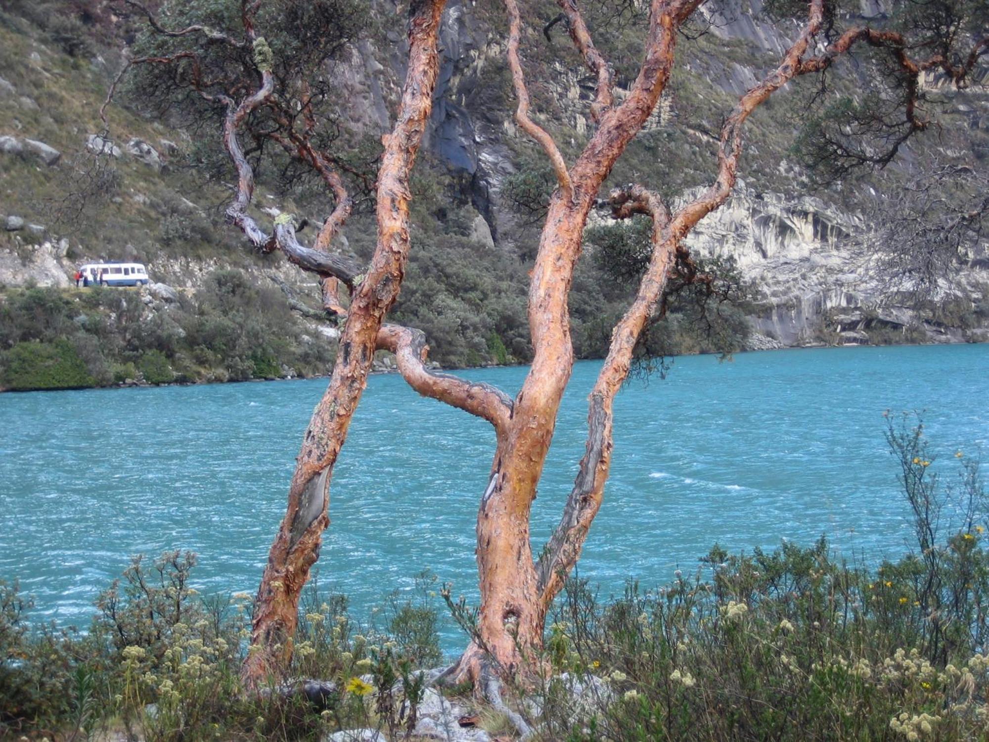 Amazing Huaraz Bed & Breakfast エクステリア 写真
